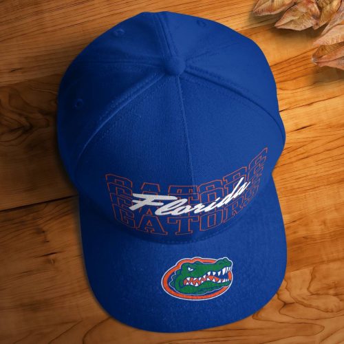 Florida Gators Instant Replay Classic Baseball Classic Baseball Classic Cap Men Hat Men Hat/ Snapback Baseball Classic Baseball Classic Cap Men Hat Men Hat Gift for Men Women Gift for Men Women