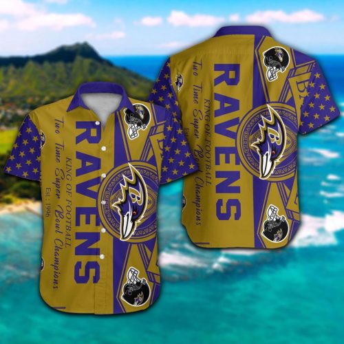 Baltimore Ravens Hawaiian Shirt Gift for Men Women #22