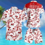 Tampa Bay Buccaneers Hawaiian Shirt 3d 2023 summer shirt